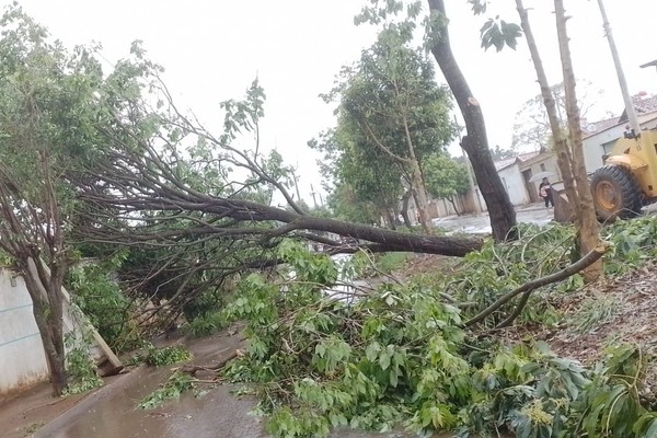 Fortes chuvas derrubam árvores, postes e levam materiais de construção na Avenida Dilermando Gomes de Deus