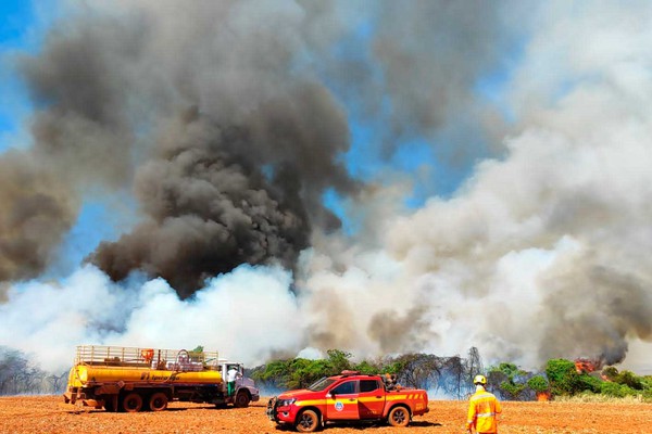 Bombeiros lutam para combater incêndio que já queimou 200 hectares em fazenda de PO