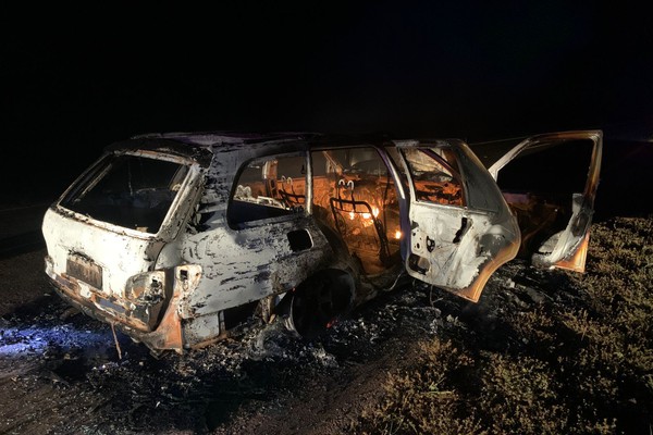 Veículo pega fogo e é abandonado após atropelar e matar anta na LMG 628, em Unaí