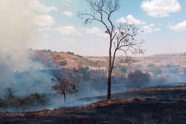 Mais um incêndio florestal deixa rastro de destruição na zona rural de Patos de Minas