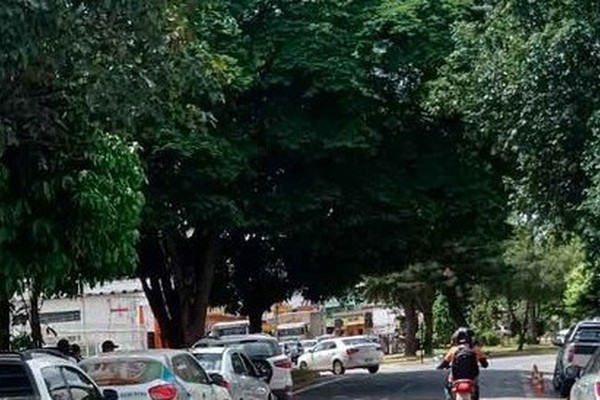 Prefeitura anuncia interdição da Av. Paracatu por 11 horas para poda de árvores