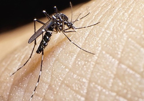 Prefeitura de Patos de Minas confirma mais 17 casos de dengue, mas só dois em agosto