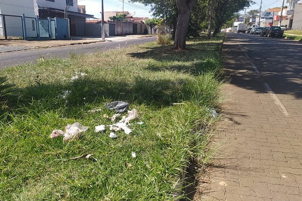 Canteiro da Av. Afonso Queiroz sofre com mato alto e muito lixo; comerciantes pedem limpeza