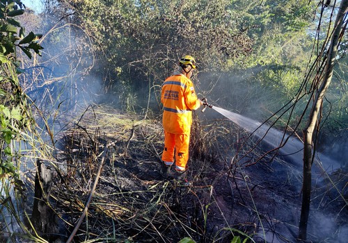 Incêndio criminoso consome vegetação na Mata do Catingueiro e mobiliza o Corpo de Bombeiros