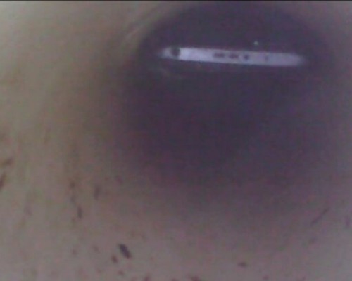 Casal que gerenciava tráfico é preso após PM encontrar esconderijo de drogas na rede do vaso sanitário em Patos de Minas