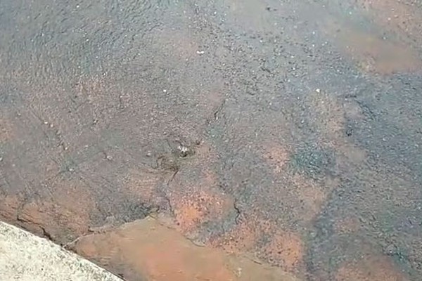 Água brota do asfalto em rua do Nossa Senhora de Fátima e moradores cobram providências