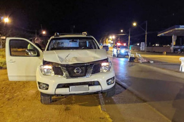 Égua atravessa pista e causa acidente com caminhonete em Patos de Minas
