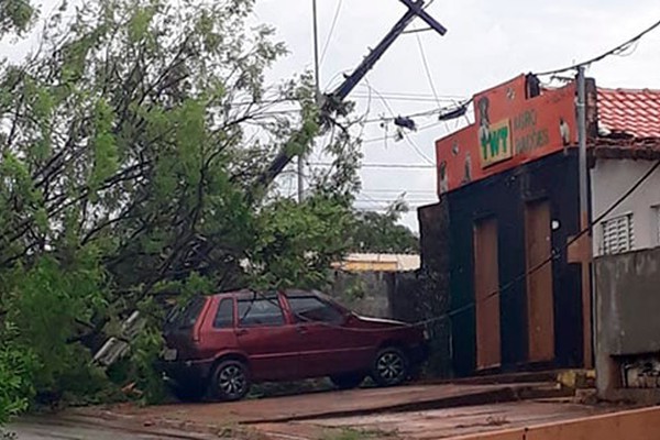 Temporal derruba árvores, destelha casas e causa estragos no distrito de Santana de Patos
