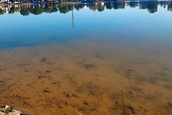 Com mato já se formando no leito da Lagoa Grande, Copasa fala sobre manutenção do espelho d’água