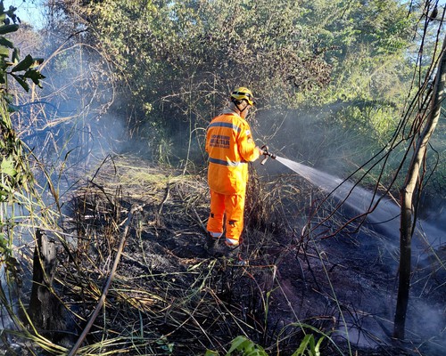 Incêndio criminoso consome vegetação na Mata do Catingueiro e mobiliza o Corpo de Bombeiros