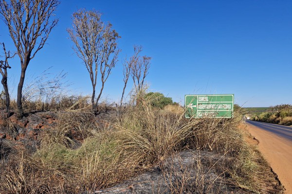 Homem é preso e multado após ser flagrado ateando fogo às margens de rodovia