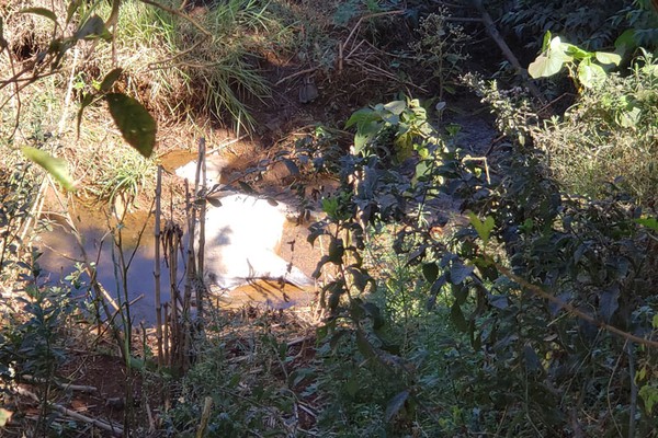 Cavalo morre nas águas do Córrego Limoeiro e moradores denunciam criação de animais em APP