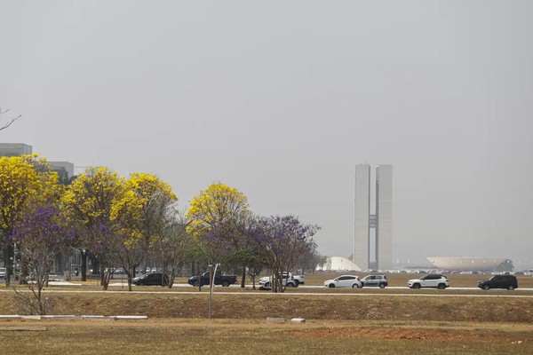 Qualidade do ar no DF está em “situação delicada”