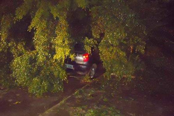 Árvore cai em cima de carro na Paranaíba, interdita o trânsito e causa acidente