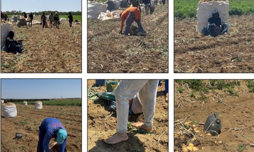 Força-tarefa resgata trabalhadores africanos em condições análogas às de escravo no Triângulo Mineiro