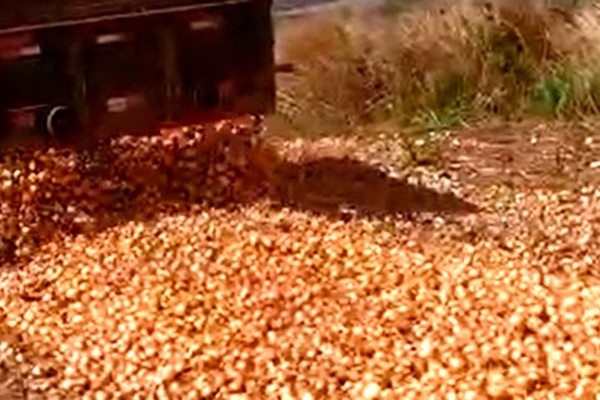 Vídeo mostra produtor descartando toneladas de cebola em Lagoa Formosa como em 2018