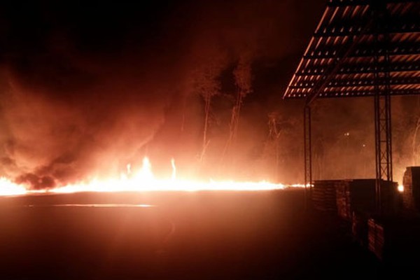 Incêndio em Viveiro de Mudas mobiliza todo o efetivo dos Bombeiros em Patos de Minas