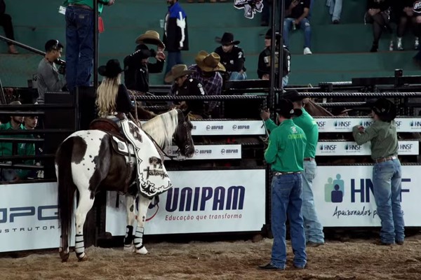 Peão se segura na 1ª montaria em cavalo e comemora com estrelinha; veja ao vivo