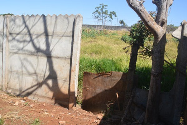 Criminosos quebram muro e fogem levando égua do Centro de Zoonoses em Patos de Minas