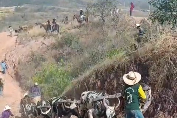 Video impressionante mostra acidente com carro de boi no município de Lagamar; veja