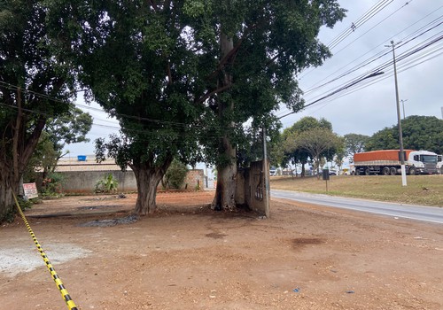 Eucalipto gigante é incendiado de forma criminosa e risco de queda faz bombeiros interditarem avenida