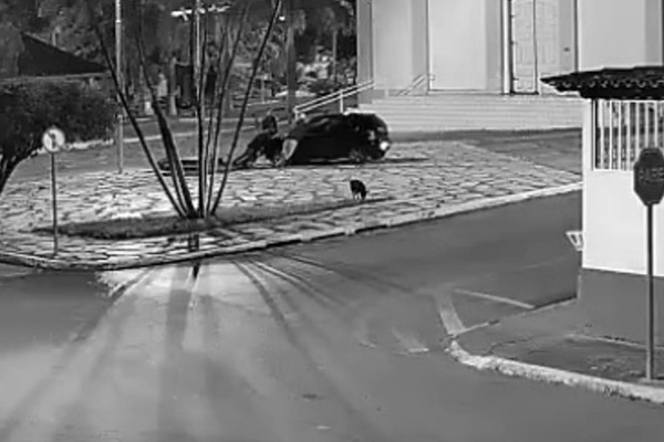 Carro bate em cheio em Cruzeiro no Centro de Rio Paranaíba e monumento religioso fica intacto; veja