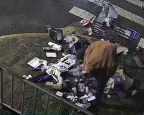 Comerciante denuncia bagunça deixada por moradores de rua ao revirarem sacos de lixo