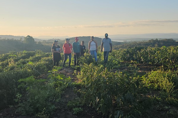 Minas Inédita: conheça o assentamento que tem cooperativa própria e prevê safra de 22 mil sacas de café