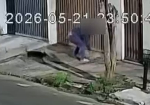 Polícia Civil indicia homem por maus-tratos após agredir cão com chineladas em Araxá; veja vídeo