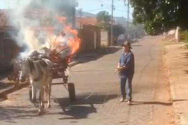 Carroceiro é visto transitando pelas ruas de Patos de Minas com carroça em chamas