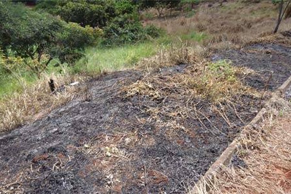 Patenses ignoram campanha de prevenção e promovem queimadas no Mocambo