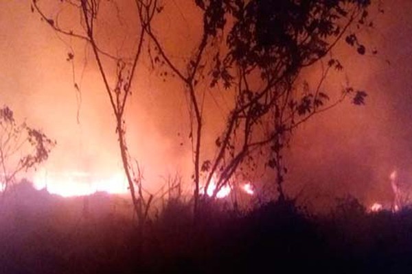 Incêndio devasta área de preservação na região central da cidade de Lagoa Grande
