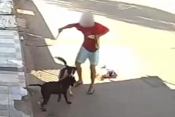 Vídeo mostra homem esfaqueando pit bull para defender seu cão de ataque em distrito de João Pinheiro