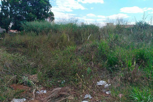 Plano Diretor de Patos de Minas volta a prever cobrança de IPTU progressivo para terrenos baldios