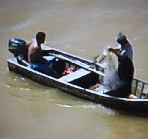Pai e filho jogam tarrafa no Rio São Francisco, mas acabam presos por pesca proibida