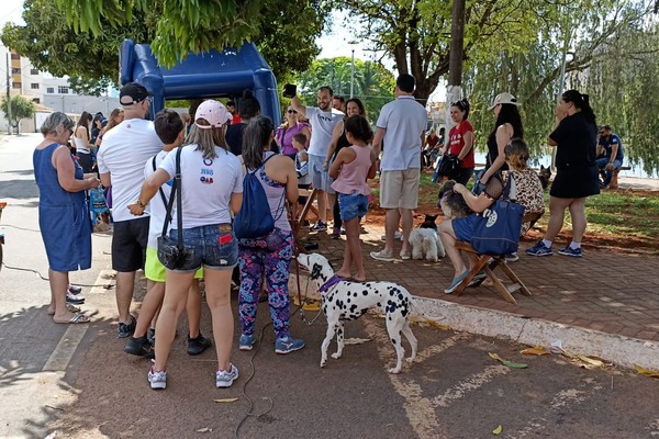 Primeira cãominhada realizada pela OAB reúne dezenas de animais na Orla da Lagoa em Patos de Minas