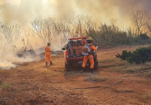 Bombeiros contêm incêndio e impedem que chamas atingissem granja às margens da BR352