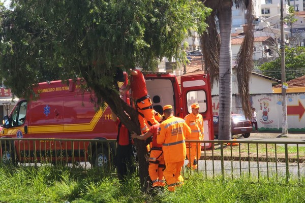 Bombeiros resgatam mulher de cima de árvore às margens do Córrego do Monjolo