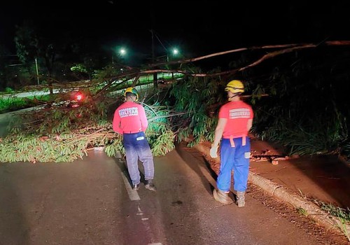 Temporal que ontem provocou alagamentos, queda de árvore e mobilizou bombeiros e Defesa Civil