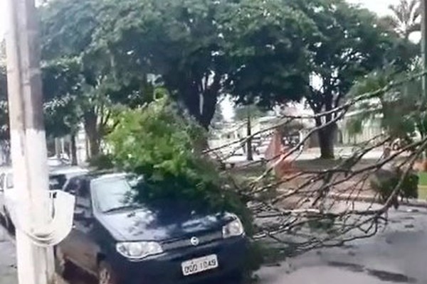 Galho de árvore desaba na Avenida Getúlio Vargas, atinge carro estacionado e obstrui o trânsito