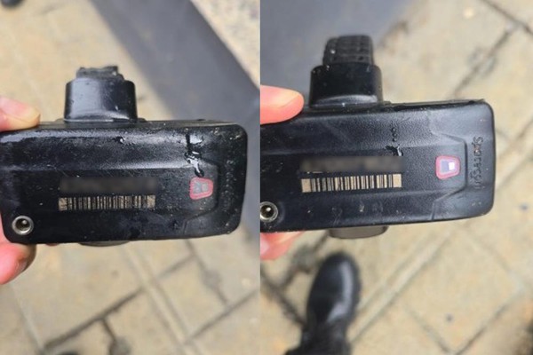 Homens rompem tornozeleiras eletrônicas e as abandonam em jardim no Centro de Patos de Minas