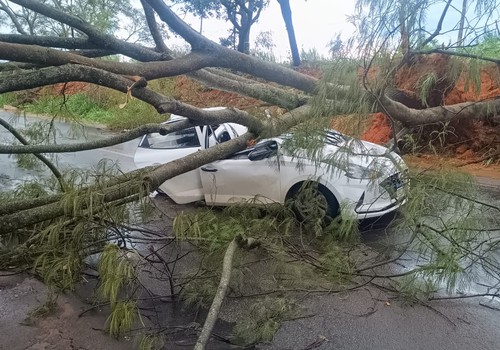 Carro de família que viajava pela MG 230 é atingido violentamente por árvore e motorista fica ferido