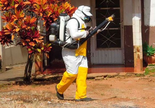 Patos de Minas e região têm 147 casos de dengue 3 de Chikungunya em 2026