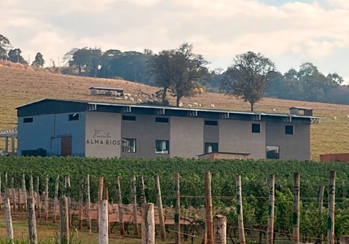Vinícola Alma Rios inaugura indústria e passa a produzir seus premiados vinhos em Patos de Minas