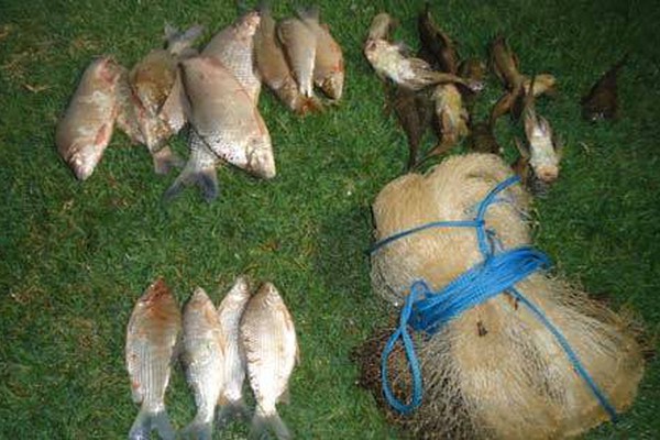 PM de Meio Ambiente flagra pescador no Rio da Prata com 10 kg de peixes