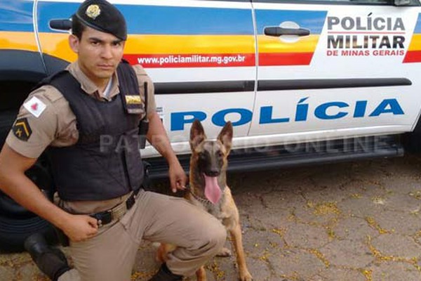 Cadela da PM ajuda militares a encontrarem drogas escondidas na praça do terminal Rodoviário