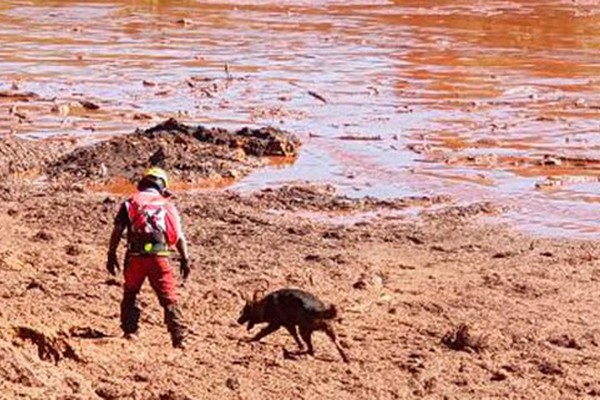 MPMG quer matar a sede dos animais em Brumadinho e proibir pesca no Paraopeba