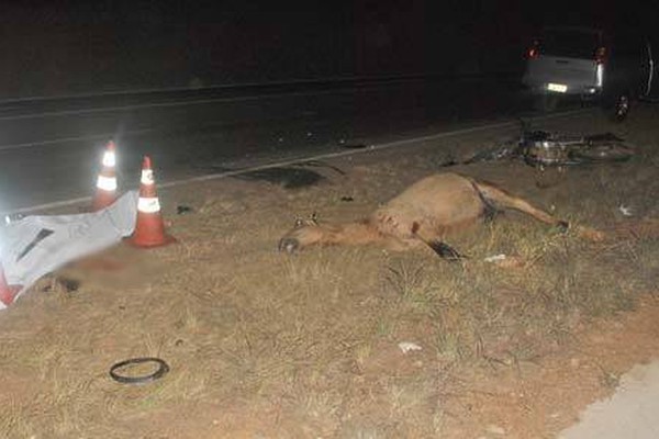 Motociclista e cavalo morrem em grave acidente na BR365, a 15km de Patos de Minas