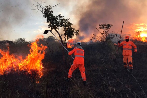 Bombeiros e voluntários trabalham para controlar grande queimada na região da Baixadinha
