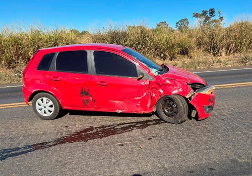 Após acidente em 3ª faixa, caminhão tenta frear e despeja vísceras de animais na BR 365